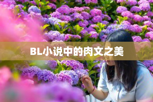 BL小说中的肉文之美