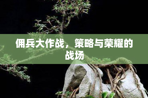 佣兵大作战，策略与荣耀的战场