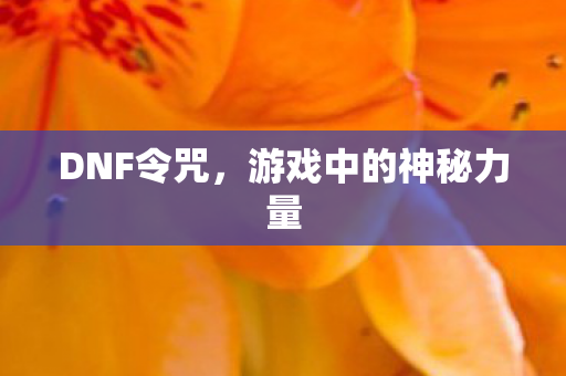 DNF令咒，游戏中的神秘力量