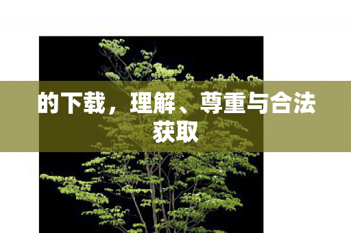 的下载，理解、尊重与合法获取