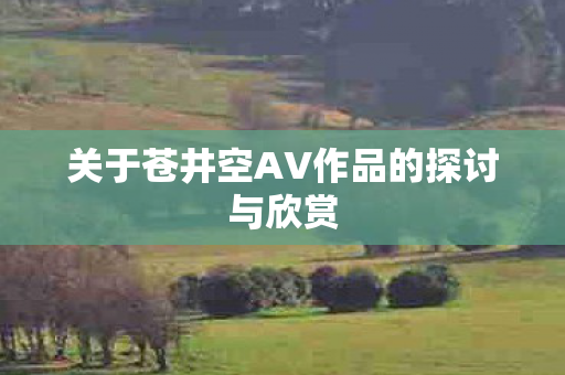 关于苍井空AV作品的探讨与欣赏