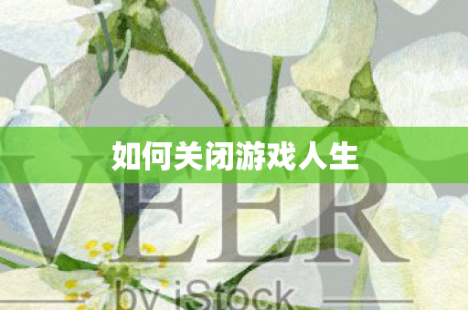 如何关闭游戏人生