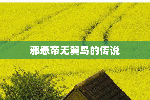 邪恶帝无翼鸟的传说