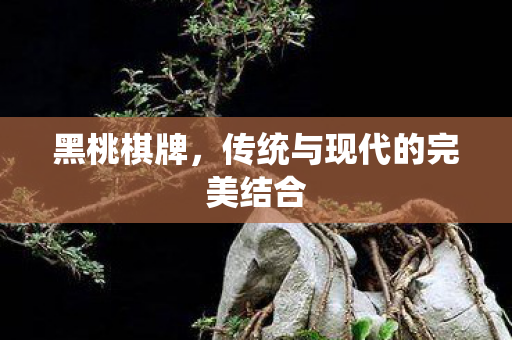 黑桃棋牌，传统与现代的完美结合