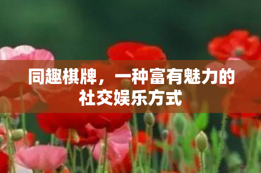 同趣棋牌，一种富有魅力的社交娱乐方式