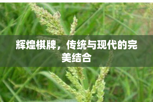 辉煌棋牌，传统与现代的完美结合
