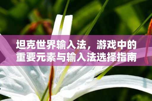 坦克世界输入法,游戏中的重要元素与输入法选择指南 坦克世界输入法,游戏中的重要元素与输入法选择指南