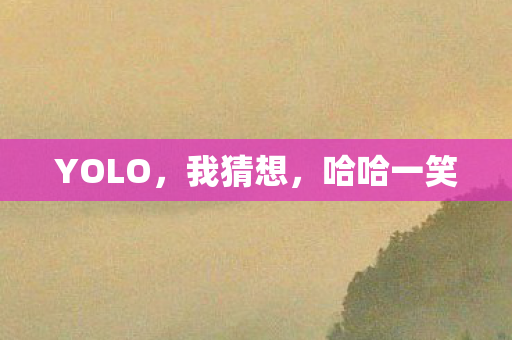 YOLO，我猜想，哈哈一笑