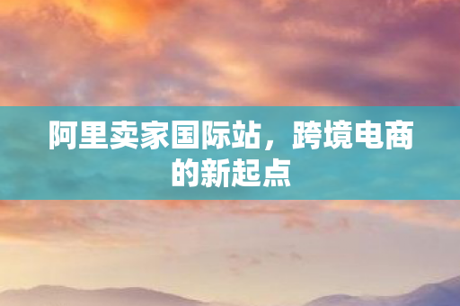 阿里卖家国际站，跨境电商的新起点