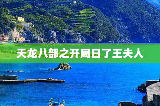 天龙八部之开局日了王夫人