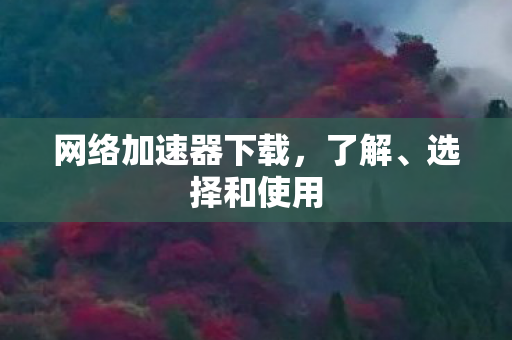 网络加速器下载，了解、选择和使用