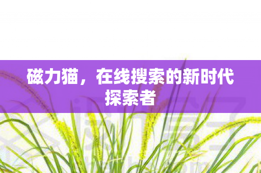 磁力猫，在线搜索的新时代探索者