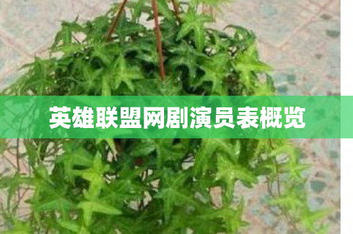 英雄联盟网剧演员表概览