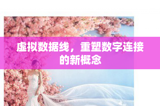 虚拟数据线，重塑数字连接的新概念