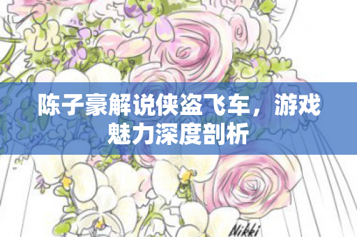 陈子豪解说侠盗飞车，游戏魅力深度剖析