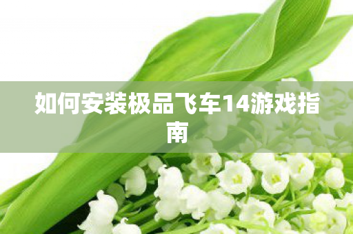 如何安装极品飞车14游戏指南