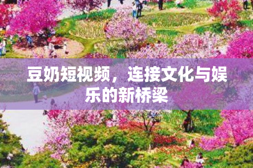 豆奶短视频，连接文化与娱乐的新桥梁