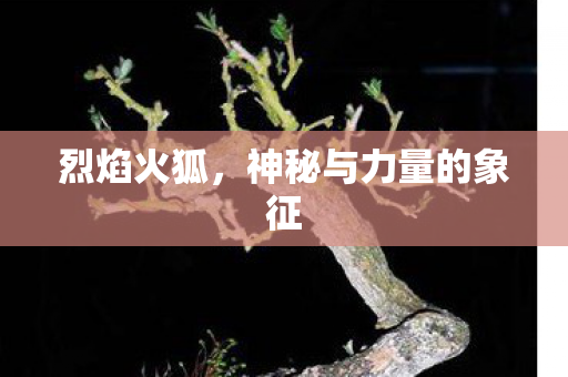 烈焰火狐，神秘与力量的象征