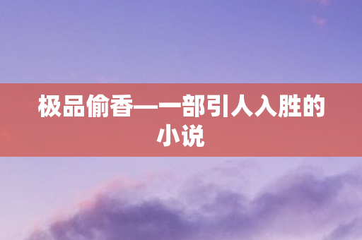 极品偷香—一部引人入胜的小说