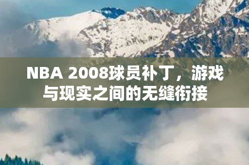 NBA 2008球员补丁，游戏与现实之间的无缝衔接