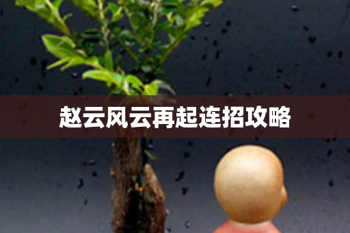 赵云风云再起连招攻略