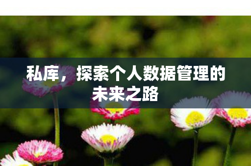 私库,探索个人数据管理的未来之路 私库,探索个人数据管理的未来之路