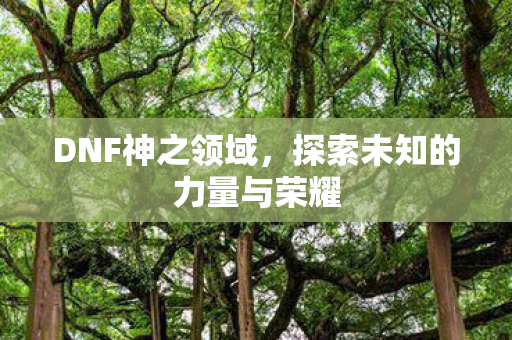 DNF神之领域，探索未知的力量与荣耀