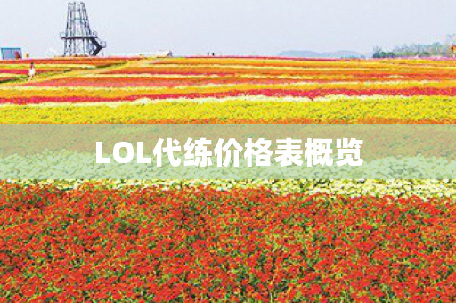 LOL代练价格表概览