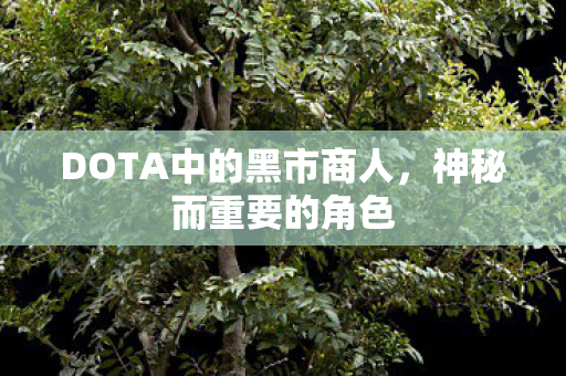 DOTA中的黑市商人，神秘而重要的角色