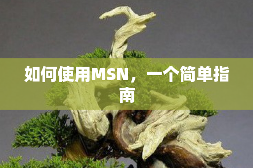 如何使用MSN，一个简单指南