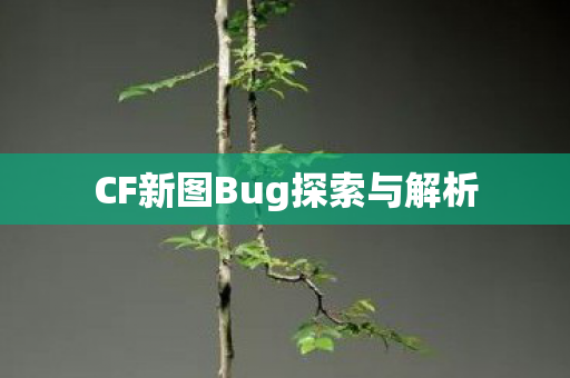 CF新图Bug探索与解析