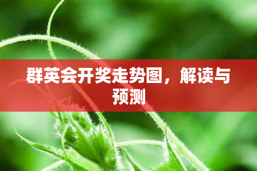 群英会开奖走势图，解读与预测