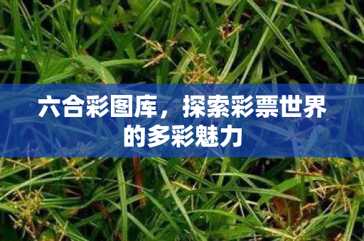 六合彩图库，探索彩票世界的多彩魅力