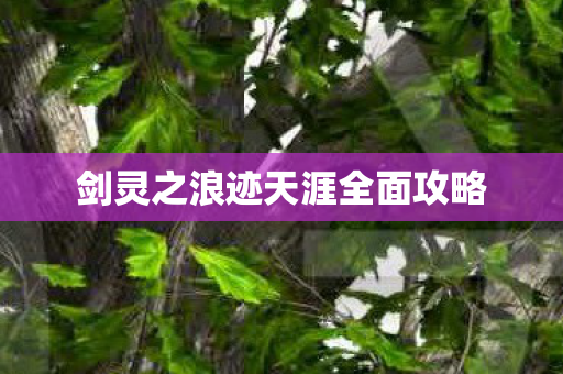 剑灵之浪迹天涯全面攻略