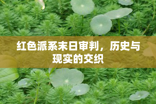 红色派系末日审判，历史与现实的交织