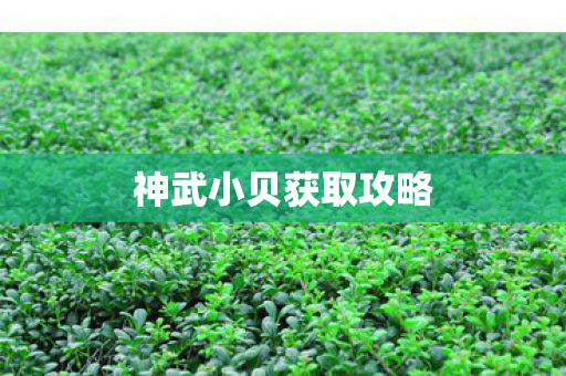 神武小贝获取攻略