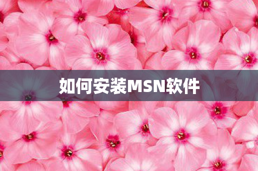 如何安装MSN软件
