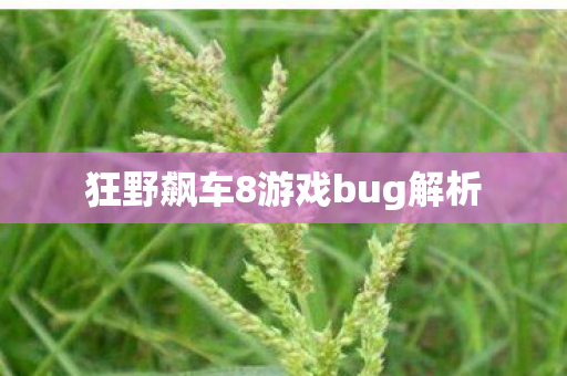 狂野飙车8游戏bug解析