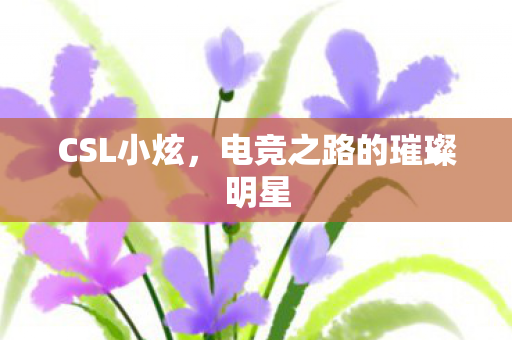 CSL小炫，电竞之路的璀璨明星