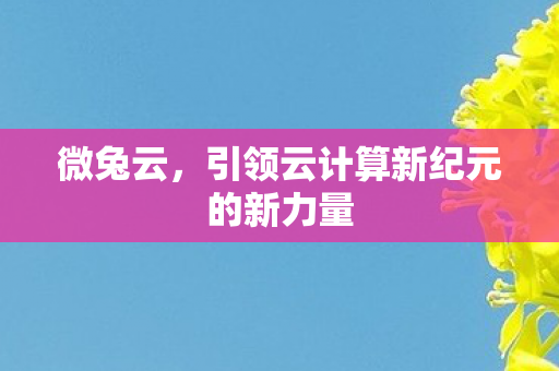 微兔云，引领云计算新纪元的新力量