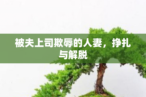 被夫上司欺辱的人妻，挣扎与解脱