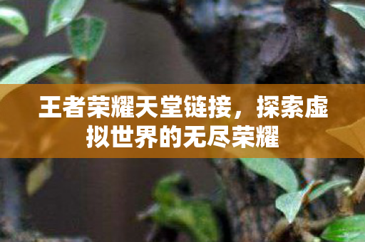 王者荣耀天堂链接，探索虚拟世界的无尽荣耀