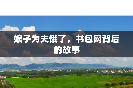 娘子为夫饿了，书包网背后的故事