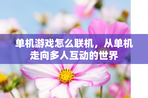 单机游戏怎么联机，从单机走向多人互动的世界