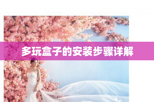多玩盒子的安装步骤详解