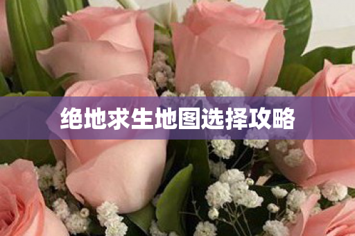 绝地求生地图选择攻略