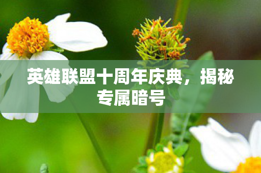 英雄联盟十周年庆典，揭秘专属暗号