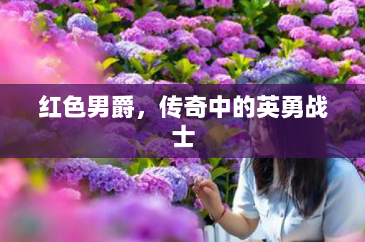 红色男爵，传奇中的英勇战士