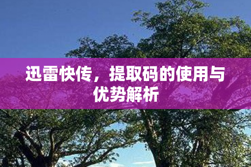 迅雷快传，提取码的使用与优势解析