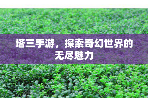 塔三手游，探索奇幻世界的无尽魅力